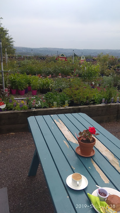 Beech Hill Garden Centre