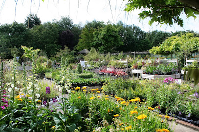 Brackenwood Plant & Garden Centre