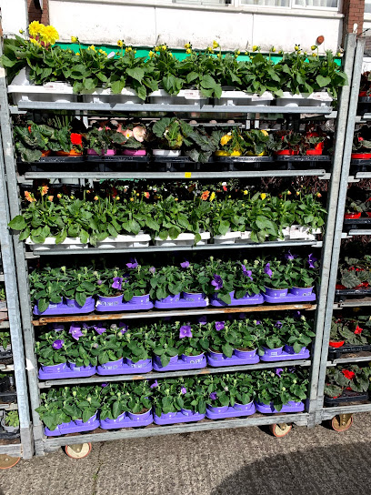 Garden of Edenmore Florist & Garden Centre