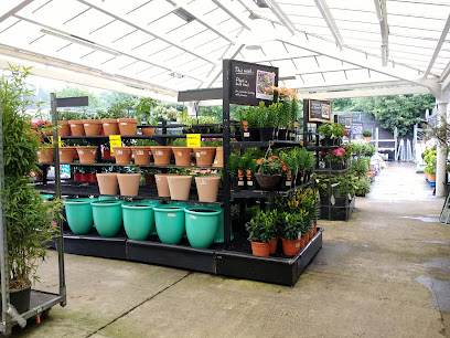 Garden Centre by Homebase (inside The Range) - Glasgow Pollokshaws