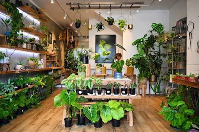 I Got Planty