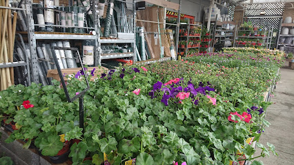 Home Store + More
