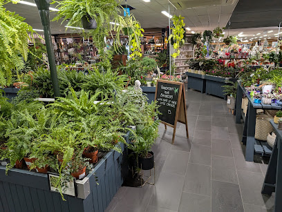 Arboretum Urban Green