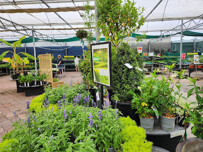 Kings Plant Barn Takapuna
