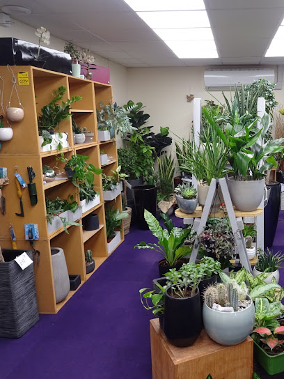 Leaf it at Home House Plant Centre