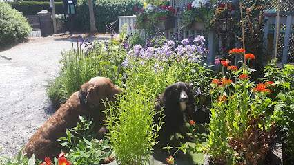 Tramore Garden Centre
