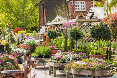 The Palace Gardener