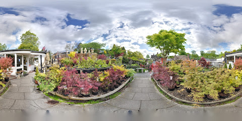Hall's Garden Centre