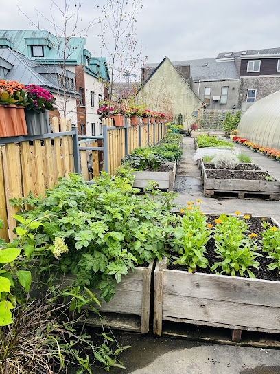 Cork Rooftop Farm