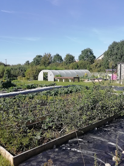 Ballinfoile Mór Community Garden