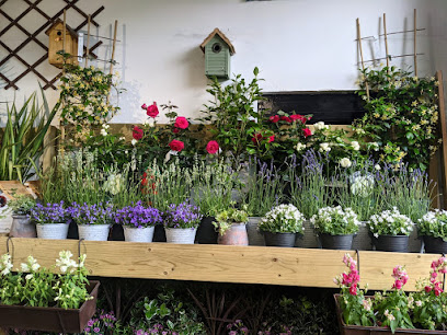 The Nunhead Gardener - Camberwell