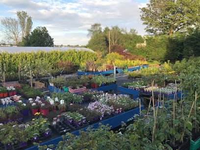 Burkes Garden Centre