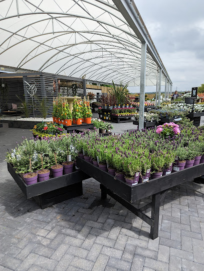 homegrown Garden Centre