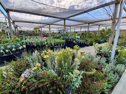 California Home & Garden