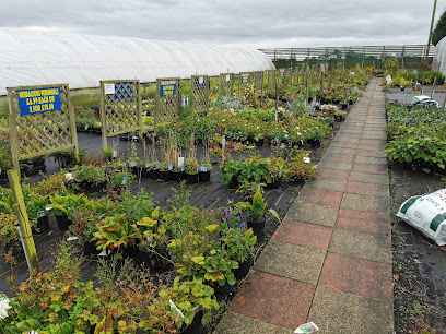 Springfield Nursery