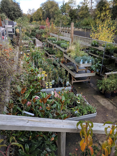 Dulwich Pot and Plant Garden