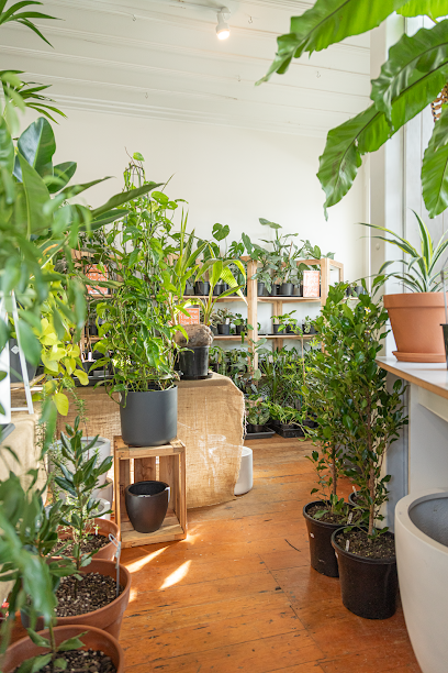 PlantHouse