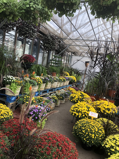 Satellite Florist & Garden Centre