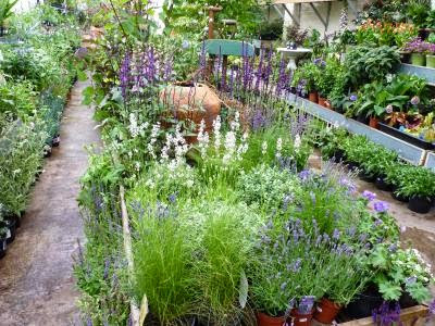 N1 Garden Centre