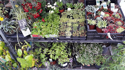 Deep Route Gardening