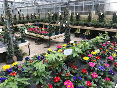 Riverside Plants