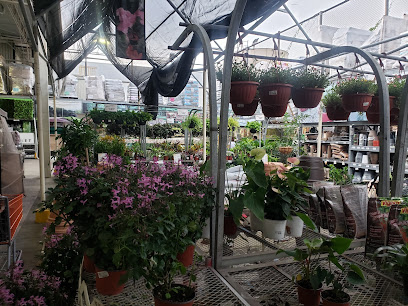 The Home Depot Mazatlán