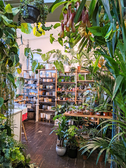 The Plant Point