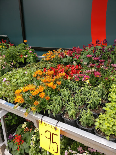 Bunnings Warehouse Wellington Central