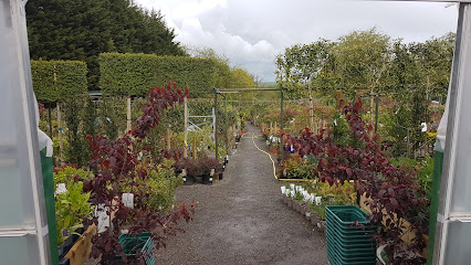 Palmer Plants