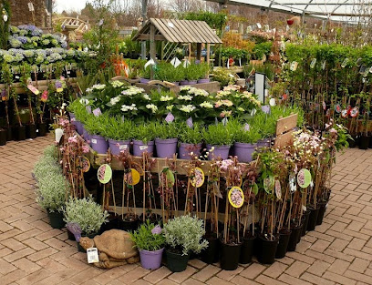 Pentland Plants
