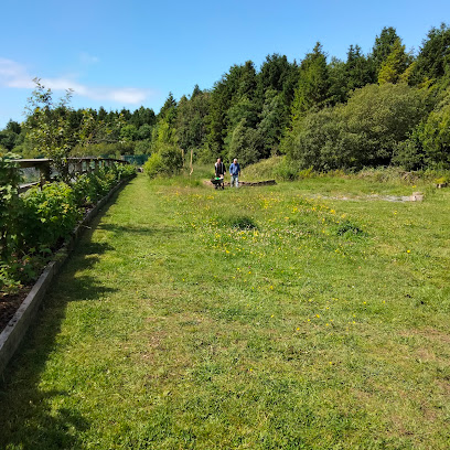 Merlin Woods Community Garden