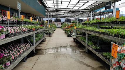 Bunnings Warehouse Glenfield