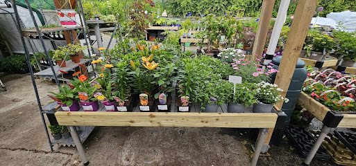 Gort Garden Centre