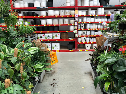 Bunnings Warehouse Lyall Bay