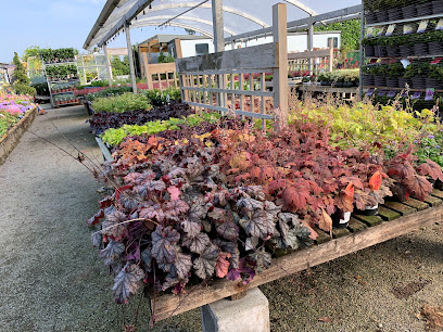 East Keswick Plant Centre