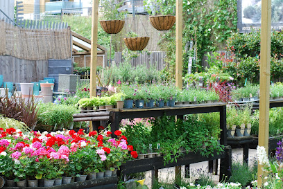 Lancaster's Home & Garden