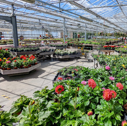 Redfox Garden World