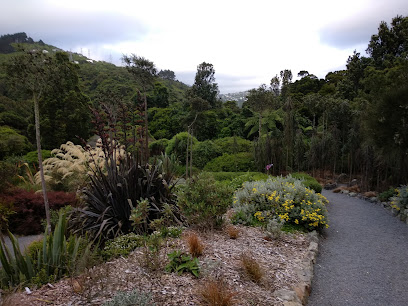 Otari-Wilton's Bush