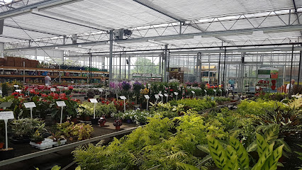 Swincar Nurseries