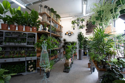 Plant World London