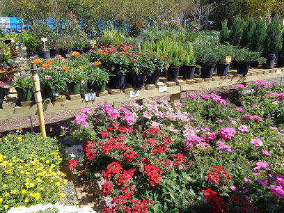 Eden Nursery