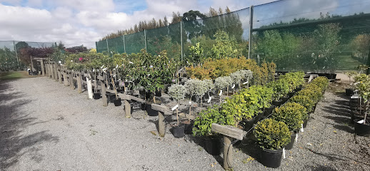 The Little Big Tree Company & The Little Big Trellis Company