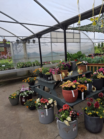 Lyons Nurseries & Garden Centre