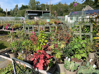 Greenscapes Nursery