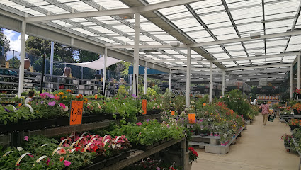 Bunnings Warehouse Mt Roskill