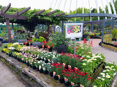 Oderings Garden Centre Barrington