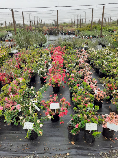 The Plant Company