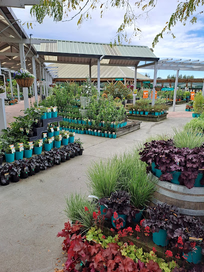 Oderings Garden Centres Christchurch - Linwood