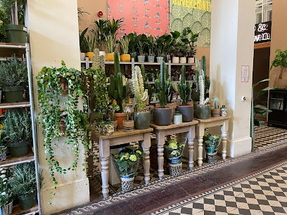 The Nunhead Gardener - Mayfair
