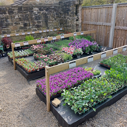 Plant Pots Direct (online)